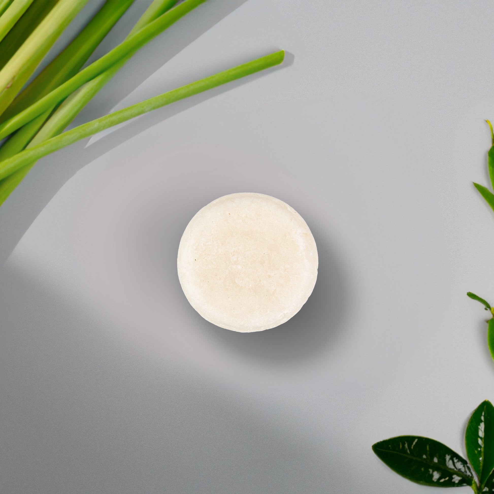 Sulfate-Free Shampoo Bar Bundle (5-Pack)-4